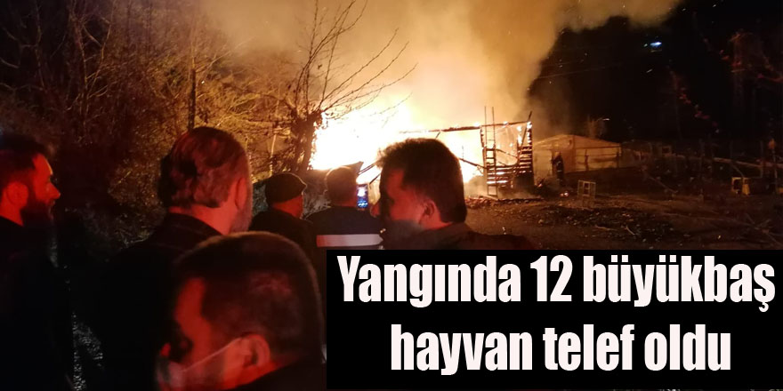 Yangında 12 büyükbaş hayvan telef oldu