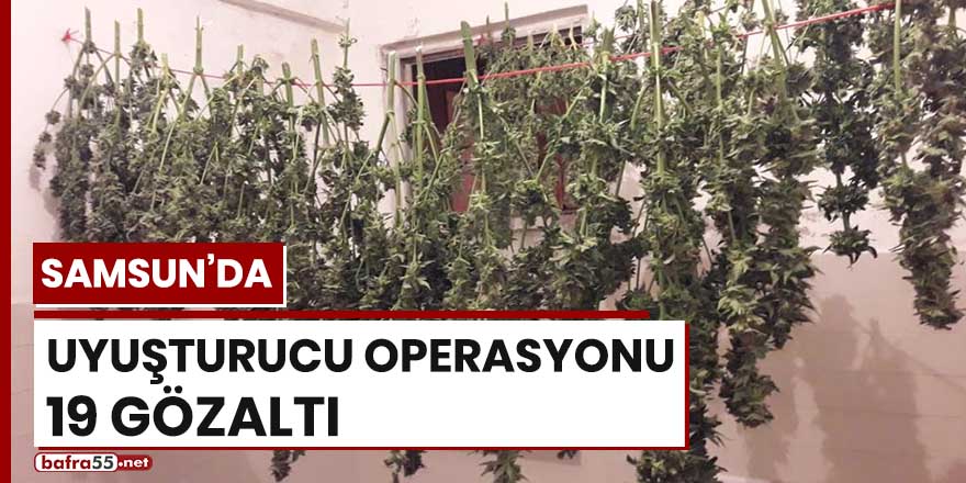 Samsun'da uyuşturucu operasyonu! 19 gözaltı