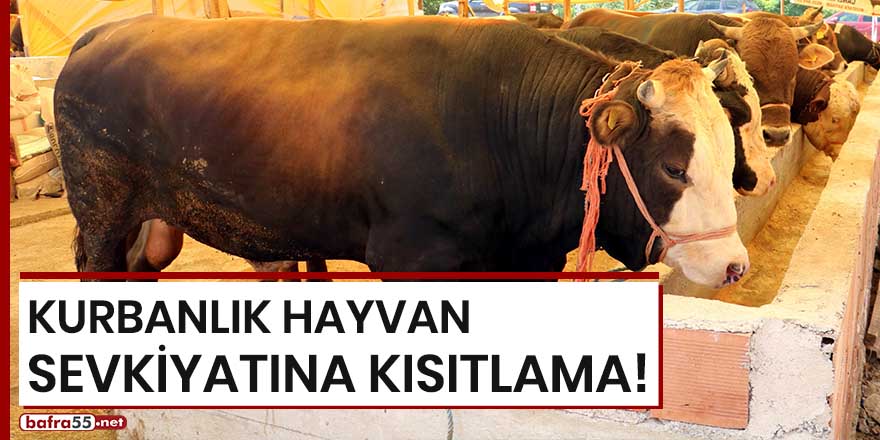 Kurbanlık hayvan sevkiyatına kısıtlama!