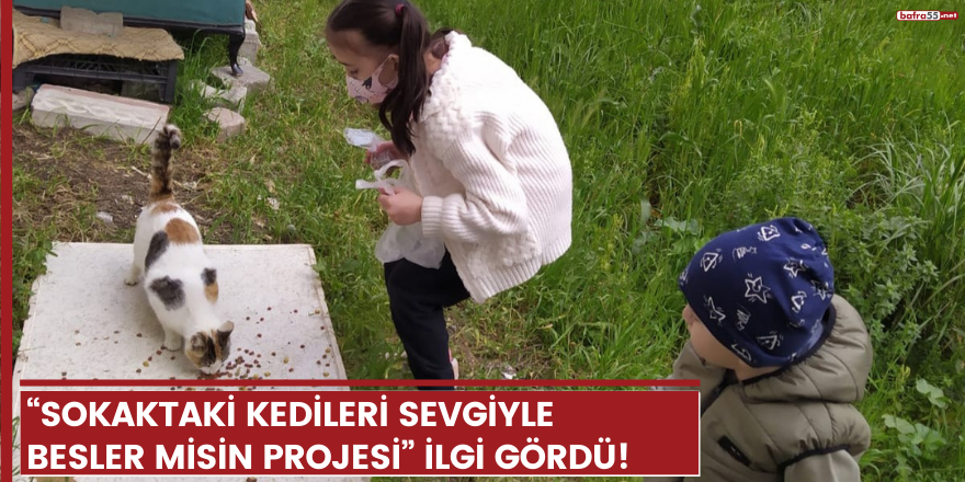 “Sokaktaki Kedileri Sevgiyle Besler Misin Projesi” ilgi gördü