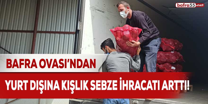 Bafra Ovası'ndan yurt dışına kışlık sebze ihracatı arttı!