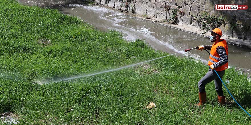 Havza'da larva ilaçlaması yapıldı