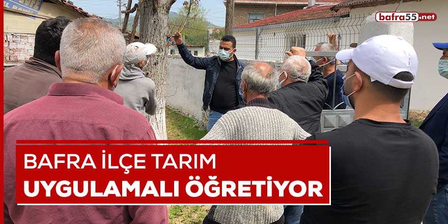 Bafra İlçe Tarım uygulamalı öğretiyor