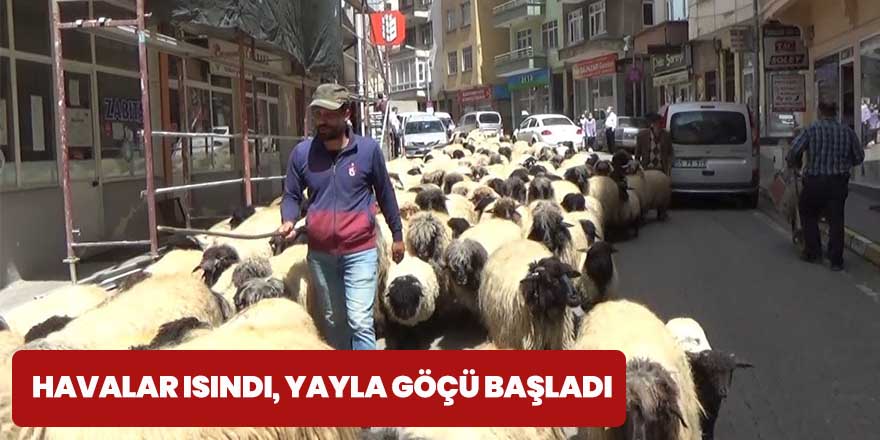 Havalar ısındı, yayla göçü başladı