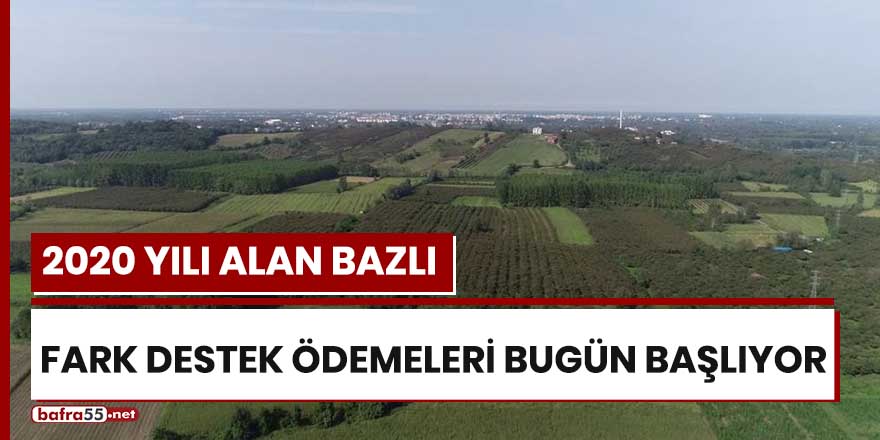 2020 Yılı Alan Bazlı Fark Destek ödemeleri bugün başlıyor