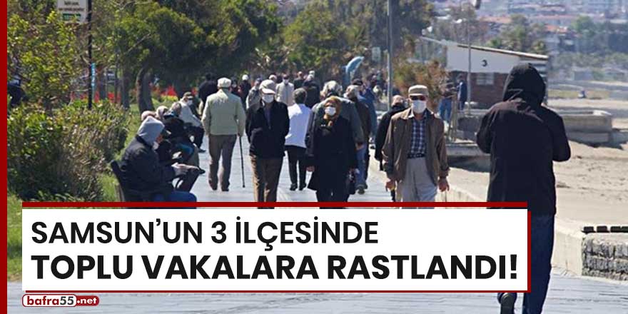 Samsun'un 3 ilçesinde toplu vakalara rastlandı!