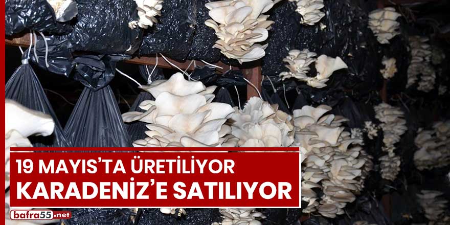 19 Mayıs'ta üretiliyor, Karadeniz'e satılıyor