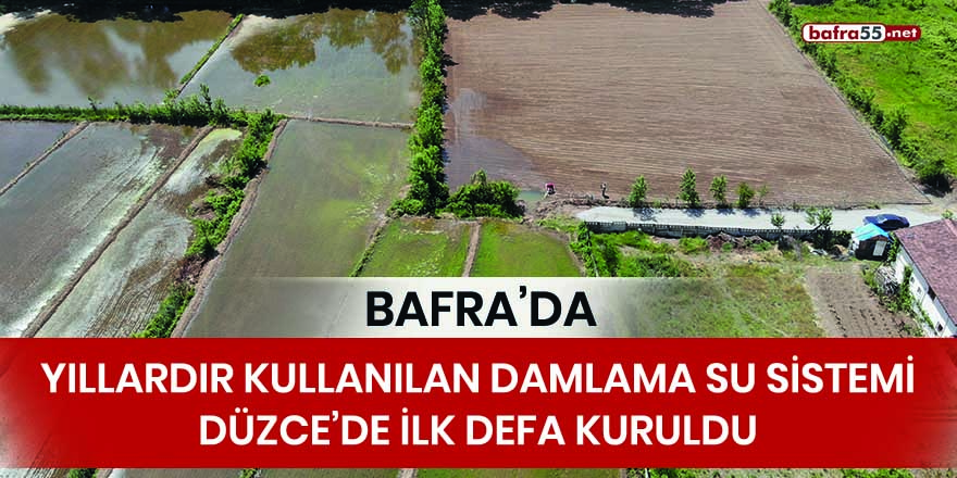 Bafra’da yıllardır kullanılan damlama su sistemi Düzce’de ilk defa kuruldu