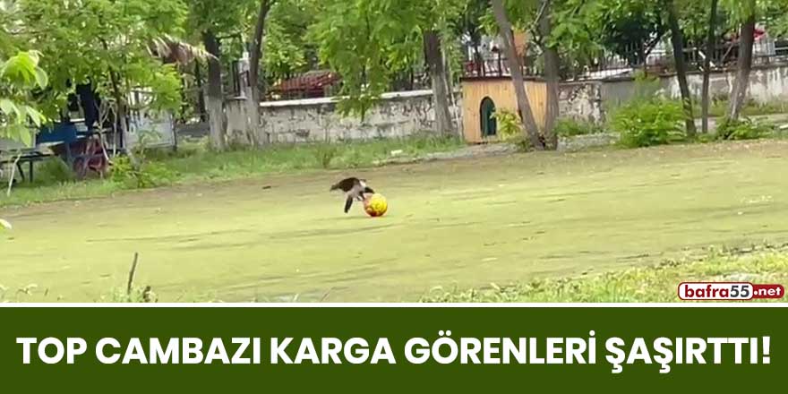 Top cambazı karga görenleri şaşırttı