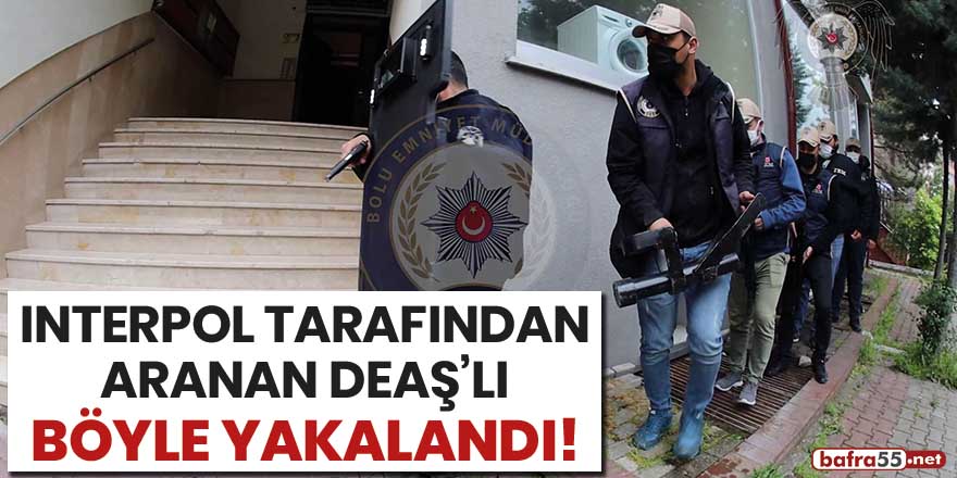 Interpol tarafından aranan DEAŞ'lı böyle yakalandı!