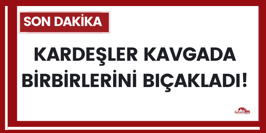 Kardeşler kavgada birbirlerini bıçakladı!