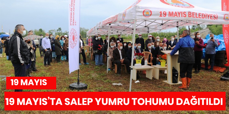 19 Mayıs’ta salep yumru tohumu dağıtıldı