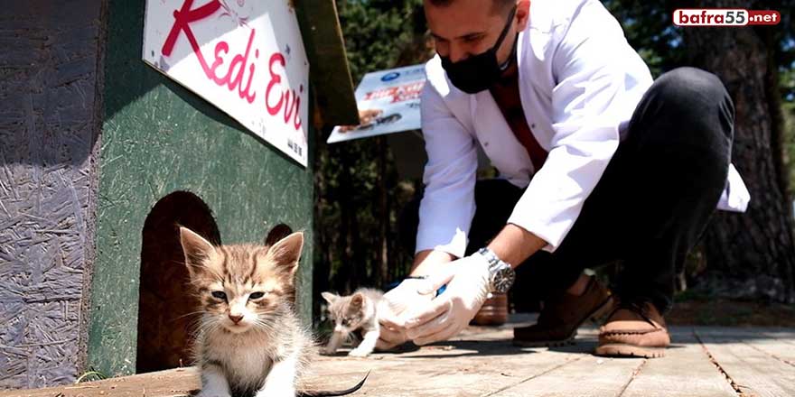 Canik can dostlarına sahip çıkıyor