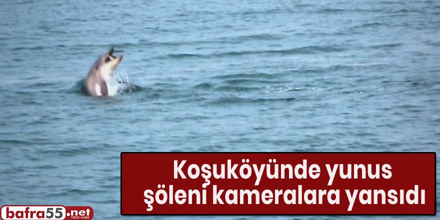 Koşuköyünde yunus şöleni kameralara yansıdı