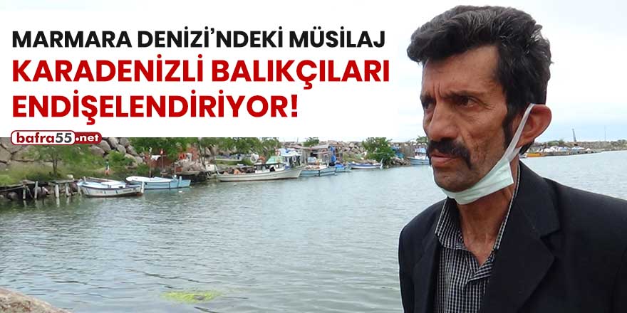 Marmara Denizi'ndeki müsilaj Karadeniz balıkçıları endişeleniyor