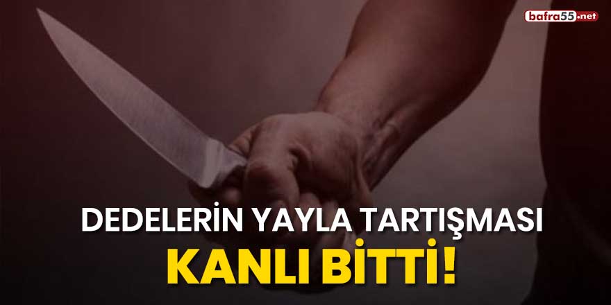 Dedelerin yayla tartışması kanlı bitti