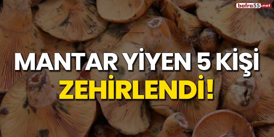 Mantar yiyen 5 kişi zehirlendi!