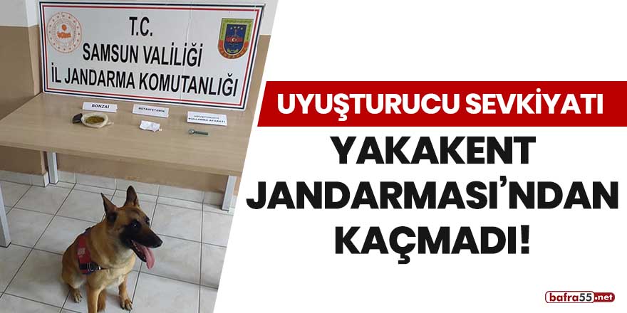 Uyuşturucu sevkiyatı Yakakent Jandarması'ndan kaçmadı!