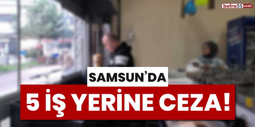 Samsun'da 5 iş yerine ceza!