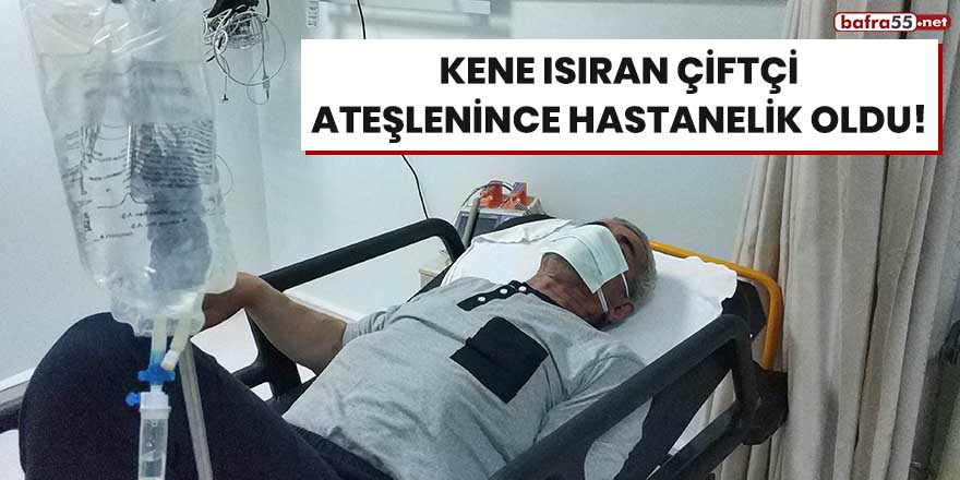 Kene ısıran çiftçi ateşlenince hastanelik oldu!