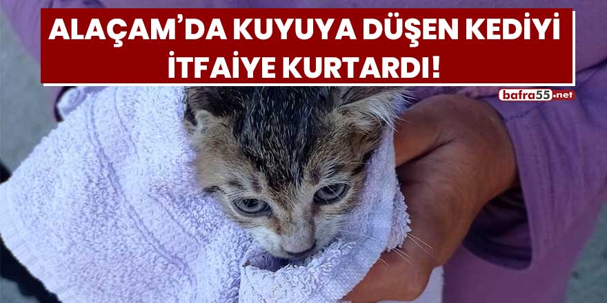 Alaçam'da kuyuya düşen kediyi itfaiye kurtardı!