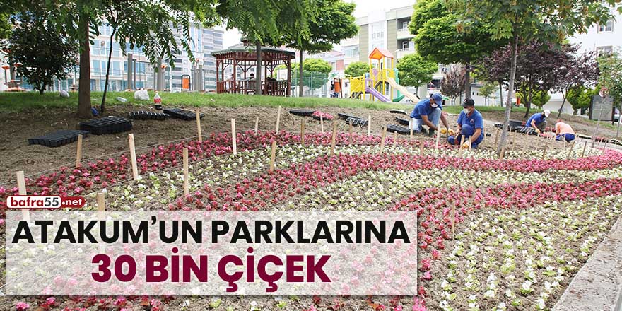 Atakum'un parklarına 30 bin çiçek