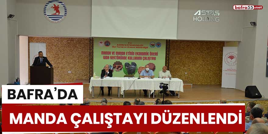 Bafra'da manda çalıştayı düzenlendi