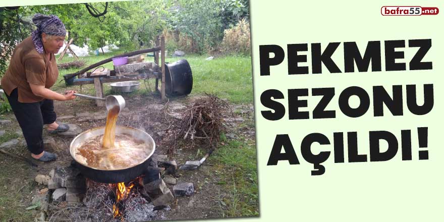 Pekmez sezonu açıldı