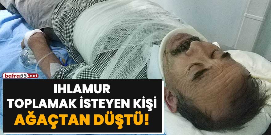 Ihlamur toplamak isteyen kişi ağaçtan düştü!