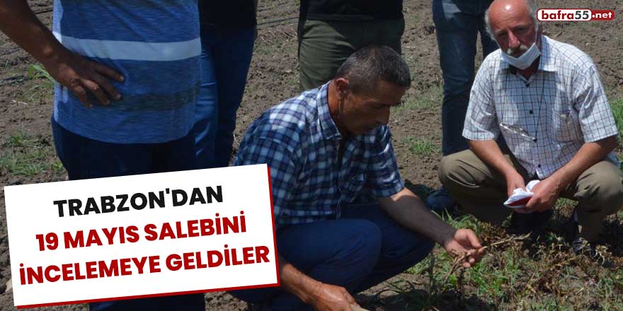 Trabzon'dan 19 Mayıs salebini incelemeye geldiler