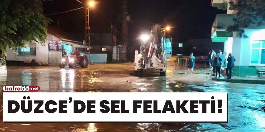 Düzce'de sel felaketi!