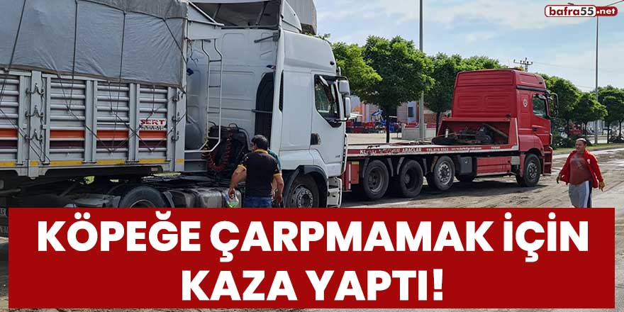 Köpeğe çarpmamak için kaza yaptı!