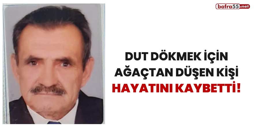 Dut dökmek isterken ağaçtan düşen kişi hayatını kaybetti!