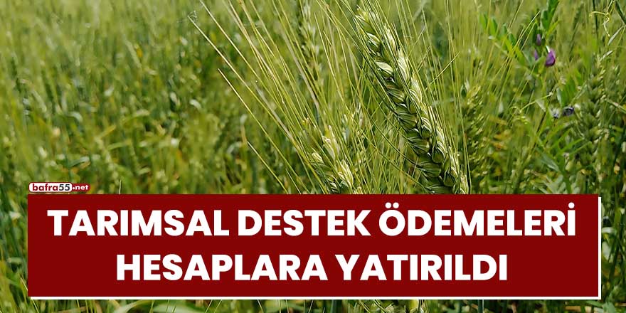 Tarımsal destek ödemeleri hesaplara yatırıldı