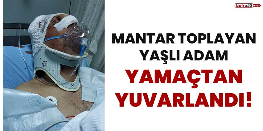 Mantar toplamaya yaşlı adam yamaçtan yuvarlandı!