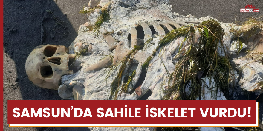 Samsun’da sahile iskelet vurdu!