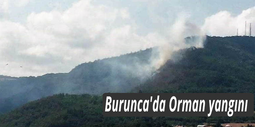 Burunca'da Orman yangını