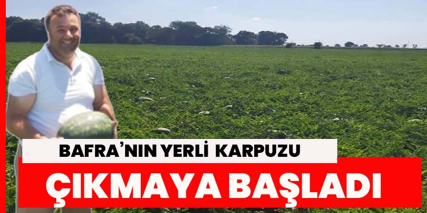 Bafra’nın Yerli Karpuzu çıkmaya başladı