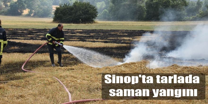 Sinop'ta tarlada saman yangını