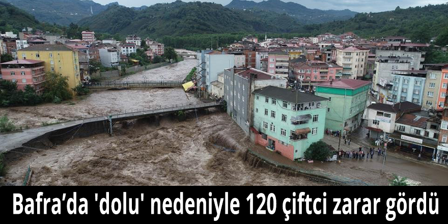 Bafra’da 'dolu' nedeniyle 120 çiftci zarar gördü