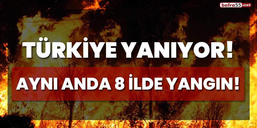 Türkiye yanıyor! Aynı anda 8 ilde yangın!