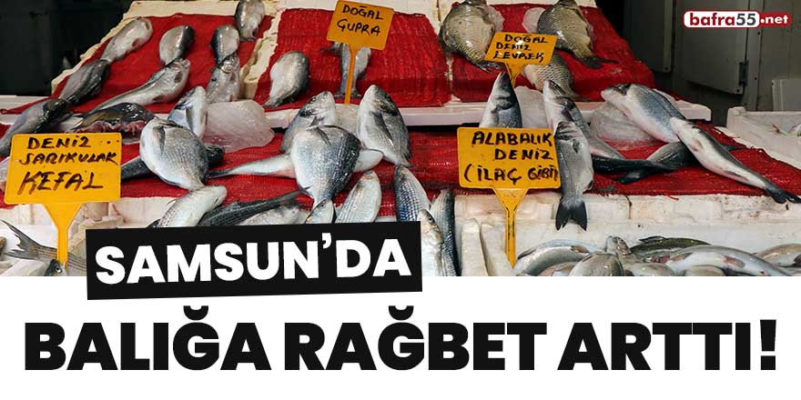 Samsun'da balığa rağbet arttı