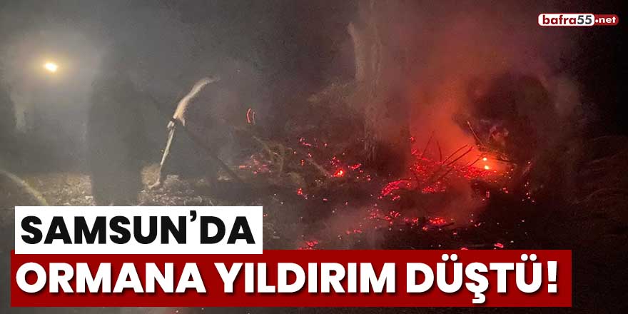 Samsun'da ormana yıldırım düştü!