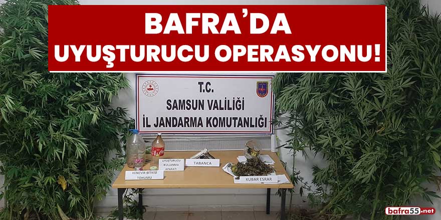 Bafra'da uyuşturucu operasyonu!