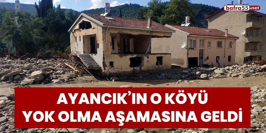 Ayancık'ın o köyü yok olma aşamasına geldi