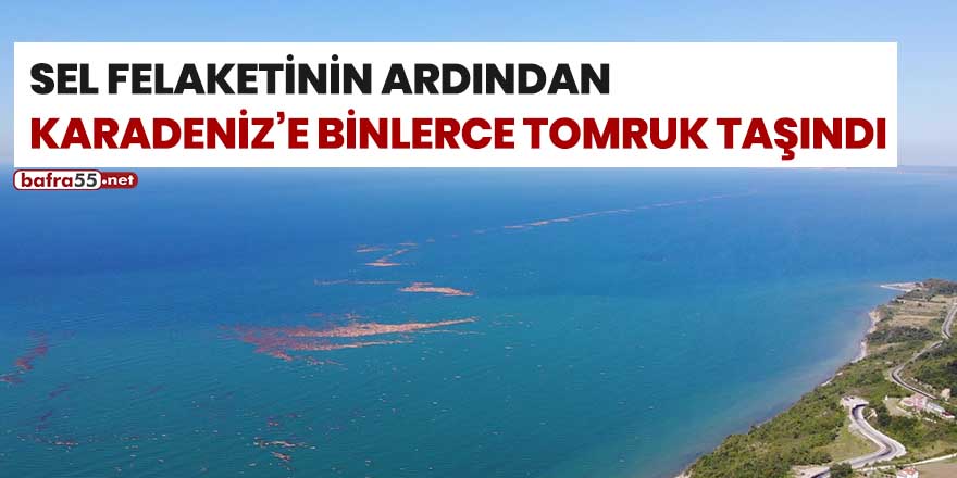 Sel felaketinin ardından Karadeniz'e binlerce tomruk taşındı