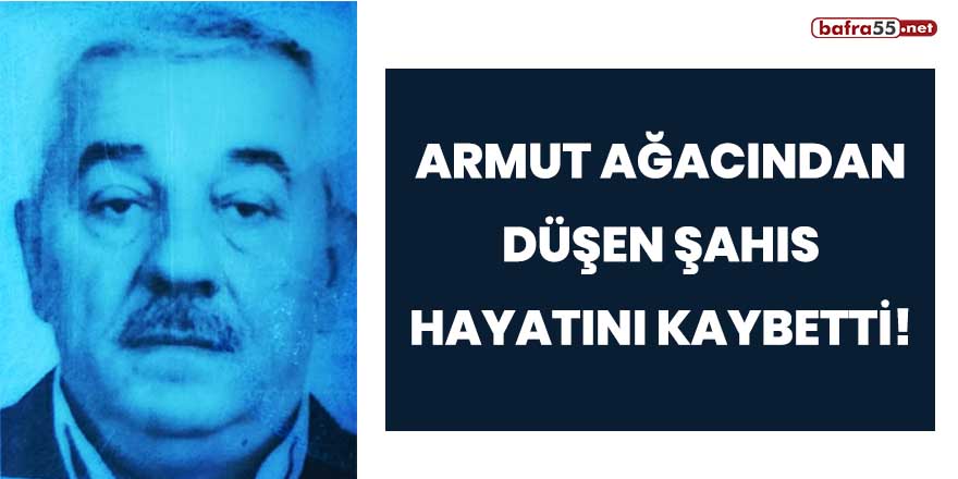 Armut ağacından düşen şahıs hayatını kaybetti!