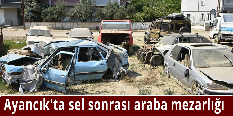 Ayancık'ta sel sonrası araba mezarlığı