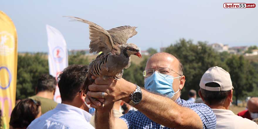 OMÜ’de kampüse keklik ve sülün salındı