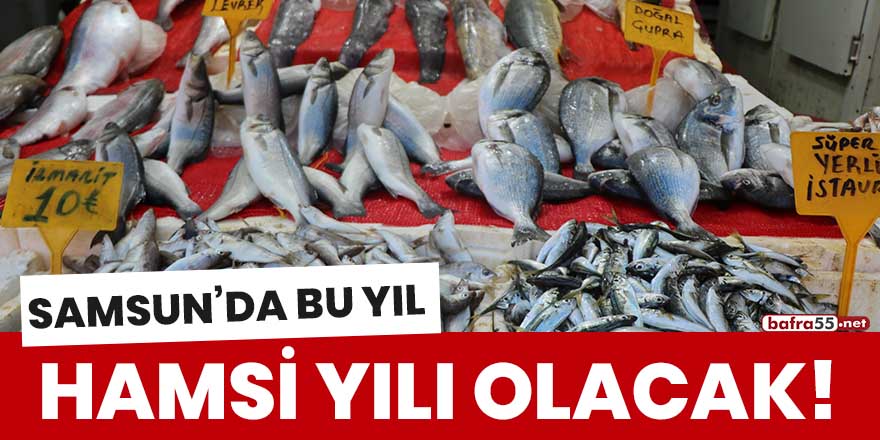 Samsun'da bu yıl hamsi yılı olacak!